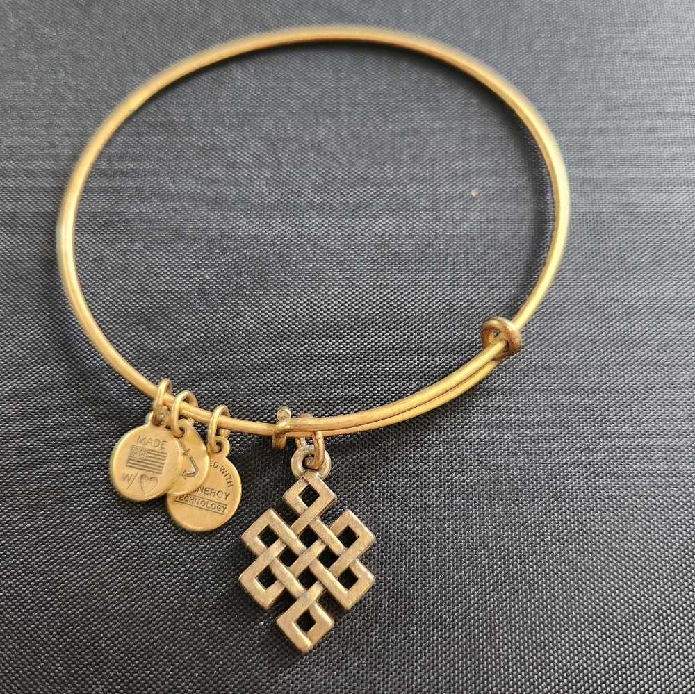 Alex and Ani Endless Knot Charm Bangle in Gold-Tone Brass